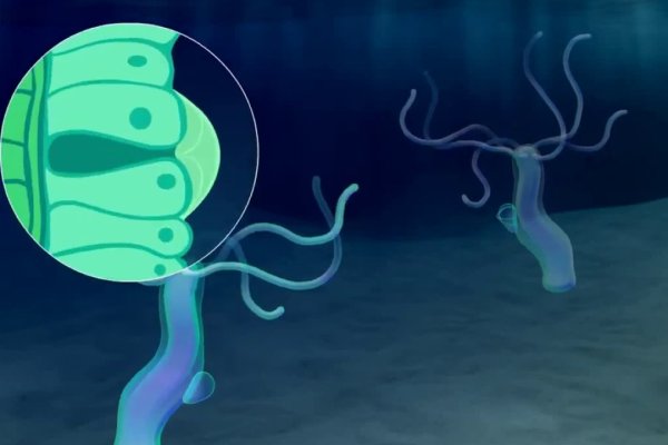 Kraken зеркало kr2web in