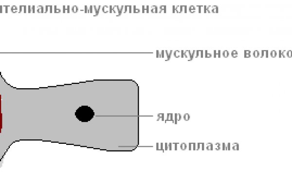 Как зайти на площадку кракен